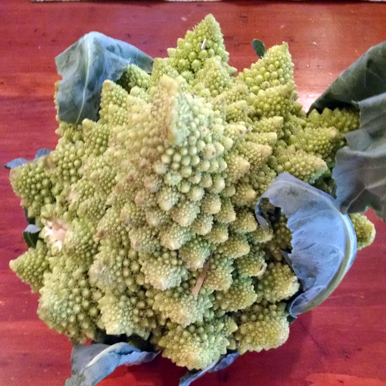 Romanesco - the fractal vegetable